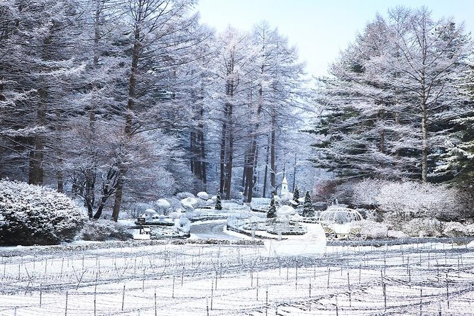 One Day Private Tour-Nami Island, Petite and Garden of Morning Calm(Incl. Lunch) - Pricing Details