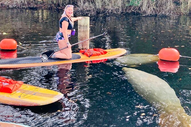 Orlando Manatee and Natural Spring Adventure Tour at Blue Springs - Expectations