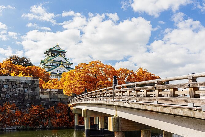 Osaka 6 Hr Private Tour: English Speaking Driver Only, No Guide - Pricing Information