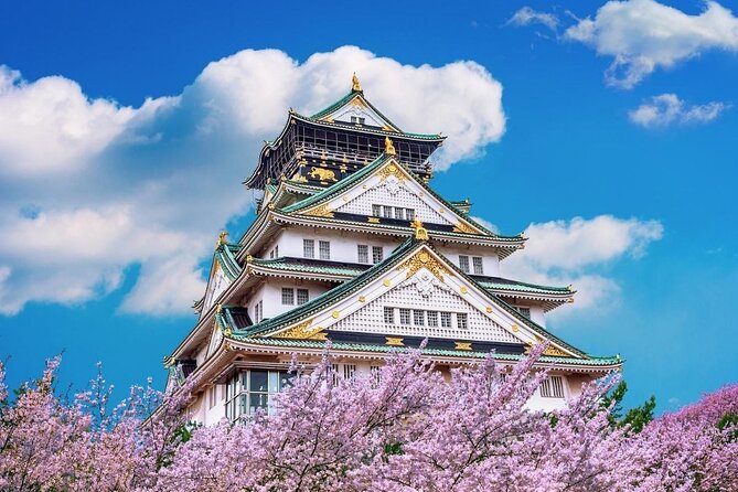 Osaka Cherry Blossom Tour With a Local: 100% Personalized Private - Off-the-Beaten-Path Destinations