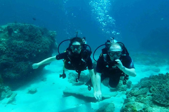 Padangbai Try Scuba Diving Experience: Two Dives With Lunch  - Kuta - Customer Reviews and Contact Info