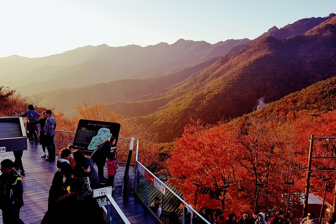 Palgongsan Natural Park Autumn Foliage One Day Tour From Busan - What to Bring