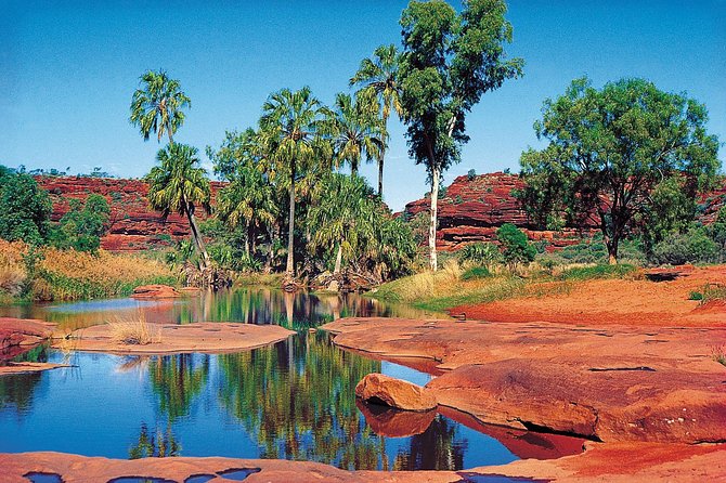 Palm Valley 4WD Tour From Alice Springs - Common questions