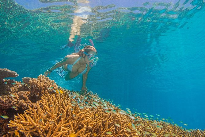 Passions of Paradise Great Barrier Reef Cruise by Catamaran - Cancellation and Refund Policy