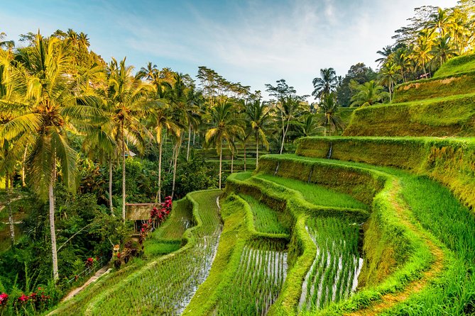 Penglipuran Traditional Village Tour With Swing, Rice Terrace, and Temple - Visit the Tirta Empul Holy Spring Water Temple