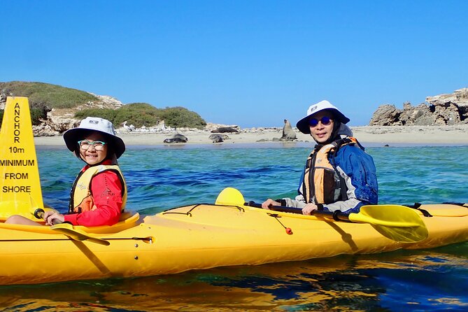 Penguin and Seal Islands Sea Kayaking Experience - Safety Guidelines