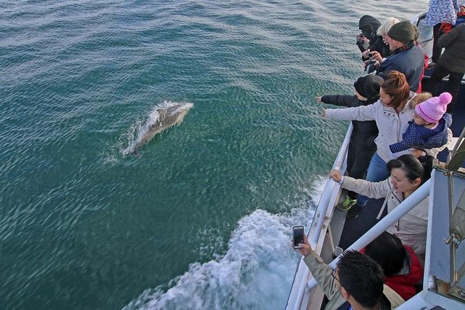 Phillip Island Whale Watching Tour - Cancellation Terms