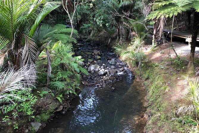 Piha Beach - Host Responses