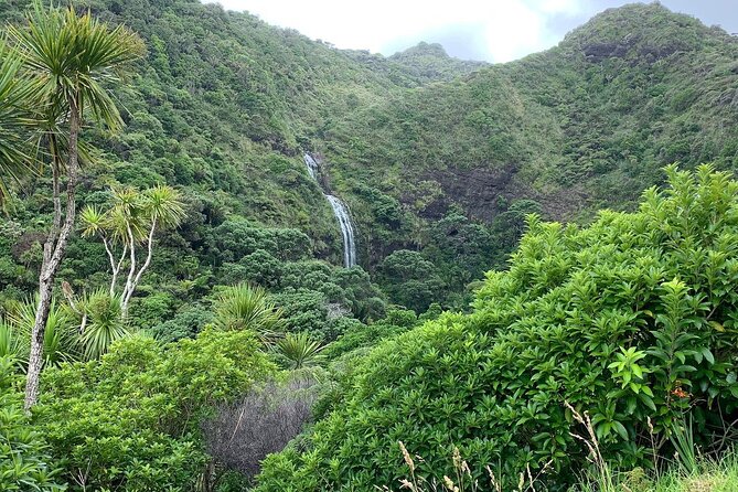 Piha Waitakere Rainforest Wine Tour From Auckland - Scenic Highlights and Tour Guide Expertise