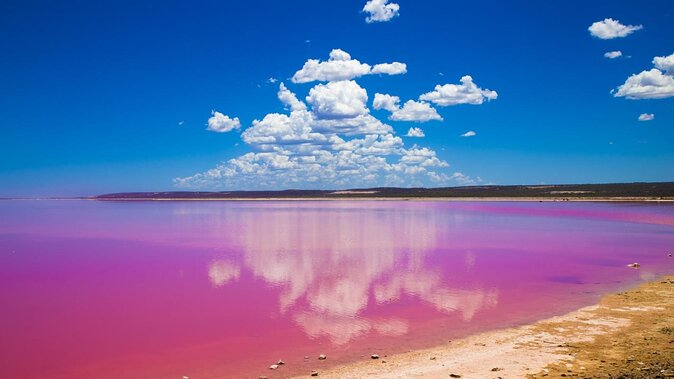 Pink Lake Small-Group Buggy Tour - Booking & Cancellation Policy