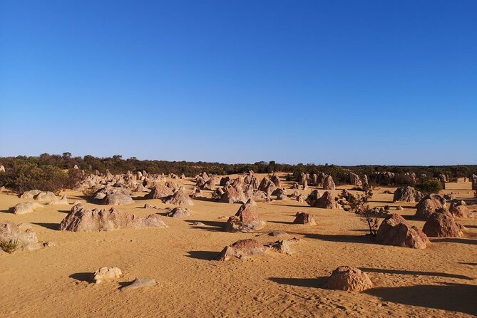 Pinnacles Day Trip From Perth Including Yanchep National Park - Inclusions and Itinerary Details