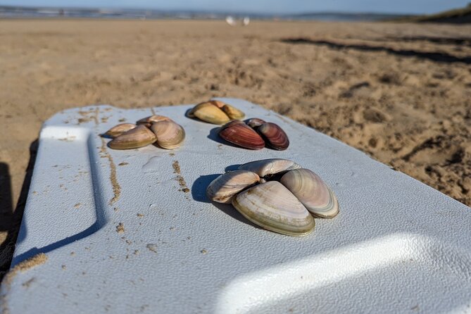 Pipi Catching and Cooking Experience in Goolwa - Accessibility and Participation