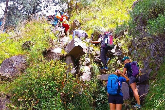 Popular Rinjani Trekking Tour Service To Summit For 2 Days Via Sembalun Trail - Experienced Guides and Safety Measures