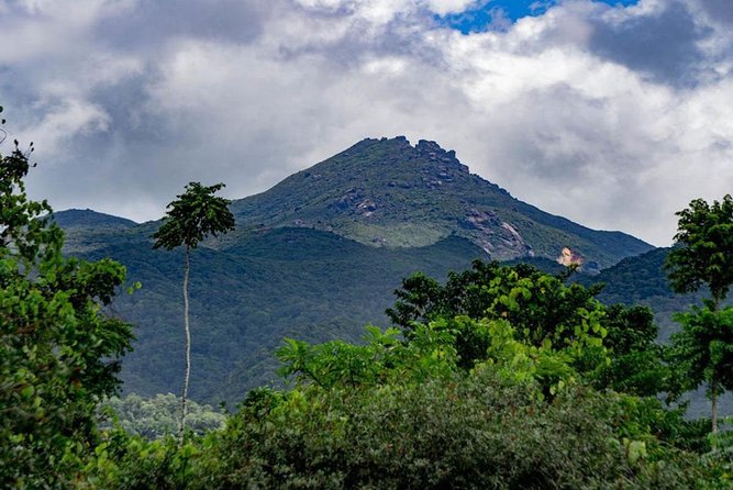 Port Douglas Daintree National Park Boutique Full-Day Tour - Booking and Confirmation Process