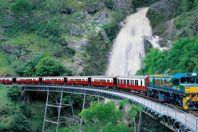 Port Douglas Day Tour Including Kuranda, Skyrail and Scenic Train - Reviews and Ratings