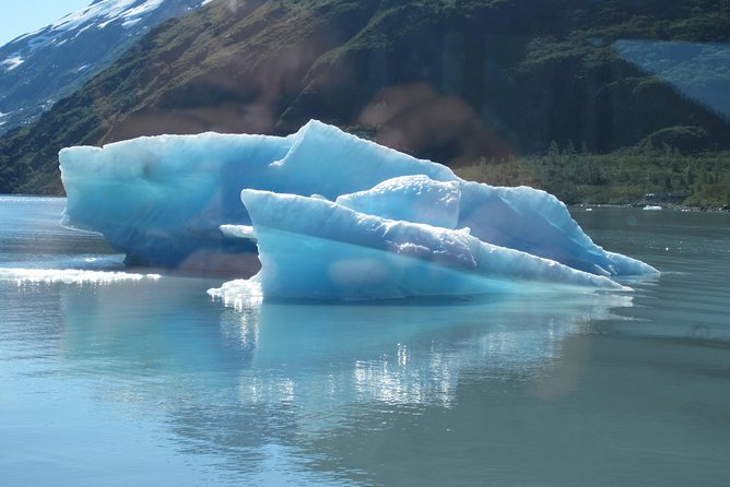 Portage Glacier Cruise and Wildlife Explorer Tour - Customer Reviews and Testimonials