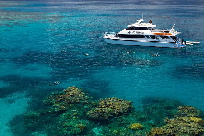 Poseidon Outer Great Barrier Reef Snorkeling and Diving Cruise From Port Douglas - Staff and Service Quality