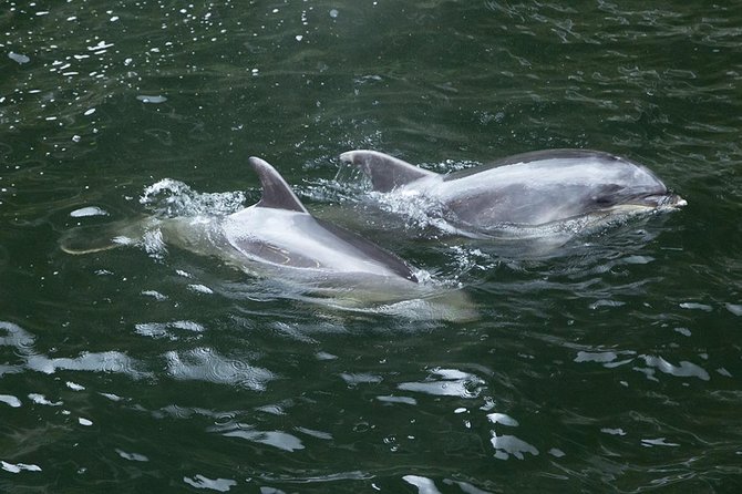 Premium Milford Sound Small Group Tour From Queenstown - Guide Experience Highlights