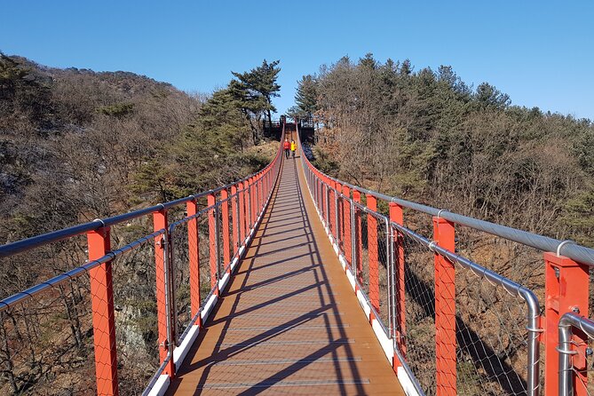 Premium Private DMZ Tour & (Suspension Bridge or N-Tower) Include Lunch - Overview of the Private Tour