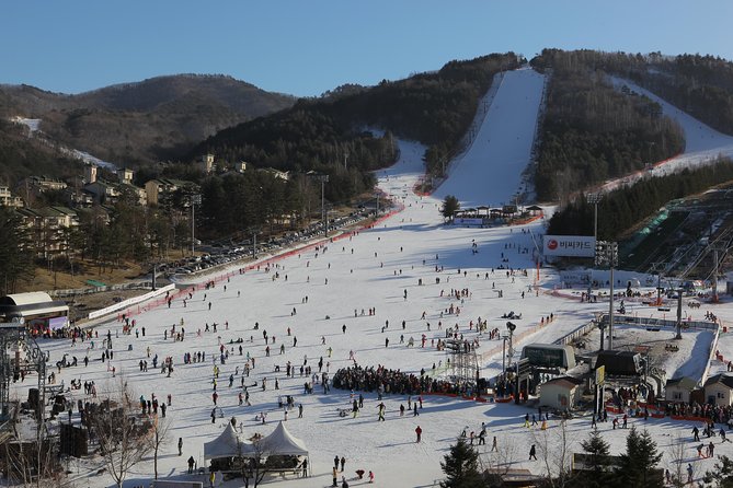 [Premium Private Ski Tour] Pyeongchang Olympic Site (Private Ski Lesson) - Cancellation Policy