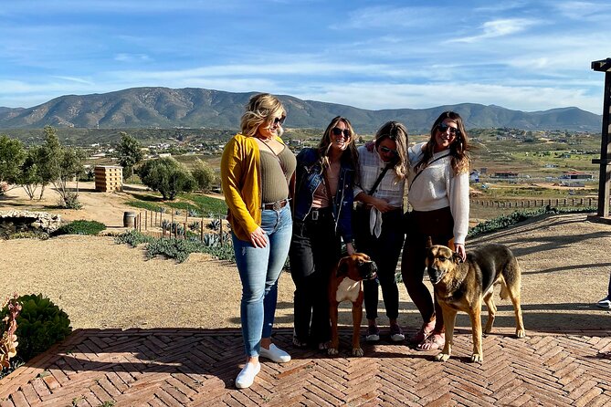 Premium Valle De Guadalupe Wine and Food Tour - Operational Details