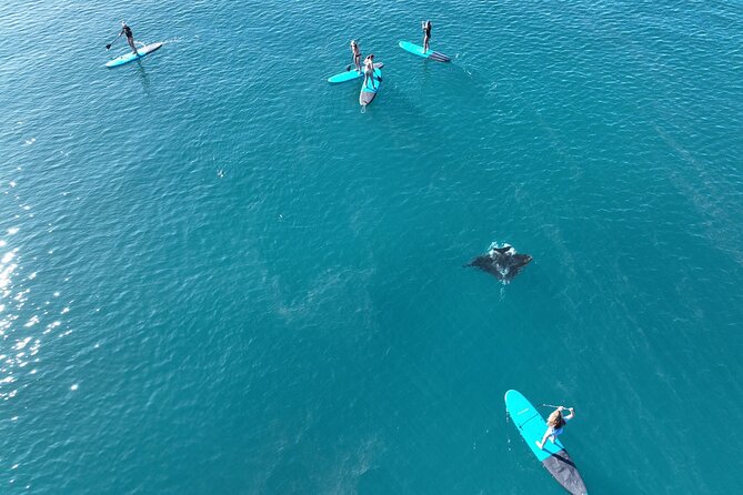 Premium Whitsunday Islands Sail, SUP & Snorkel Day Tour- 5 Guests - Refund & Cancellation Policy