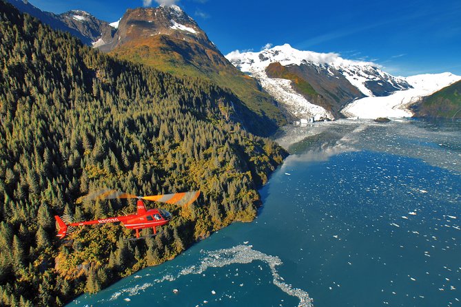 Prince William Sound Tour With Glacier Landing From Girdwood - Tour Operator Information