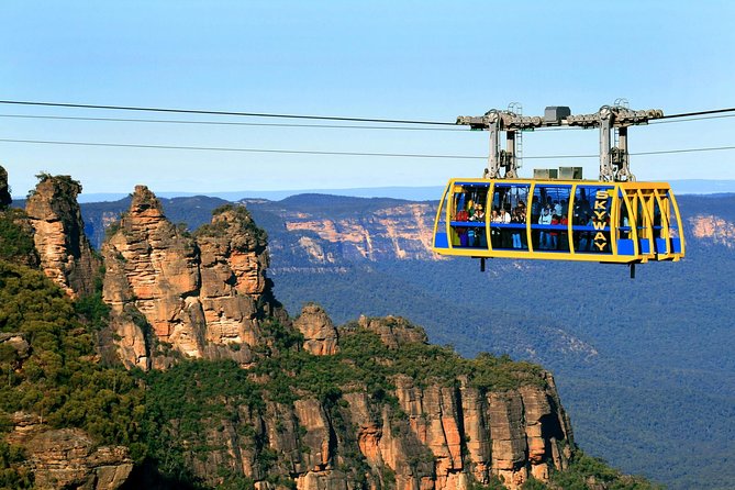 Private 1 Day Full Blue Mountains Tour Koalas Cruise Return - Inclusions and Services Provided