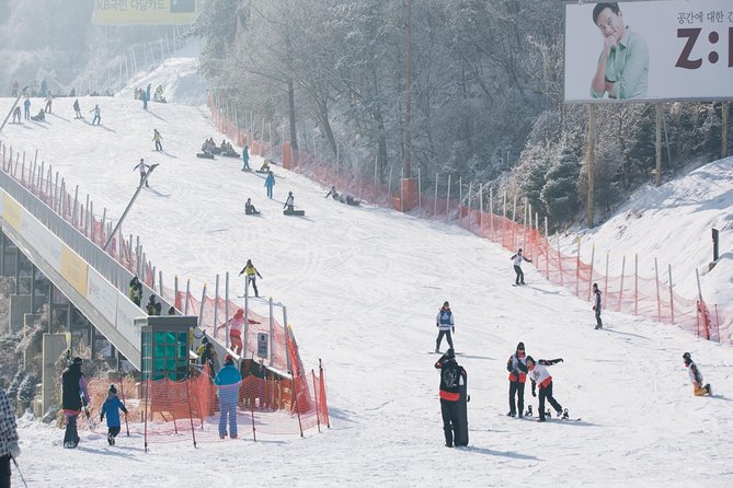 Private 1:1 Ski Lesson Near Seoul, South Korea - Traveler Photos