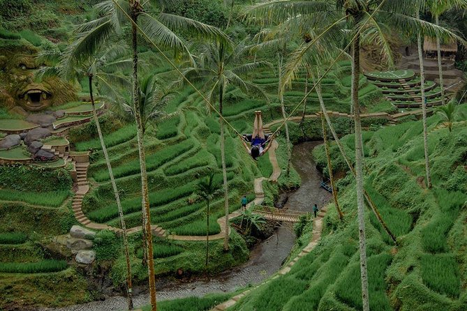Private 4-Day Tours - Best Bali Tours Package - Best of Bali Highlights - Tour Guide Experience