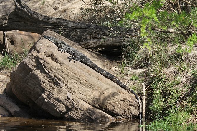 Private 5-Hour Kayaking Tour With Gourmet Lunch, Nepean Gorge  - Sydney - Cancellation Policy Overview