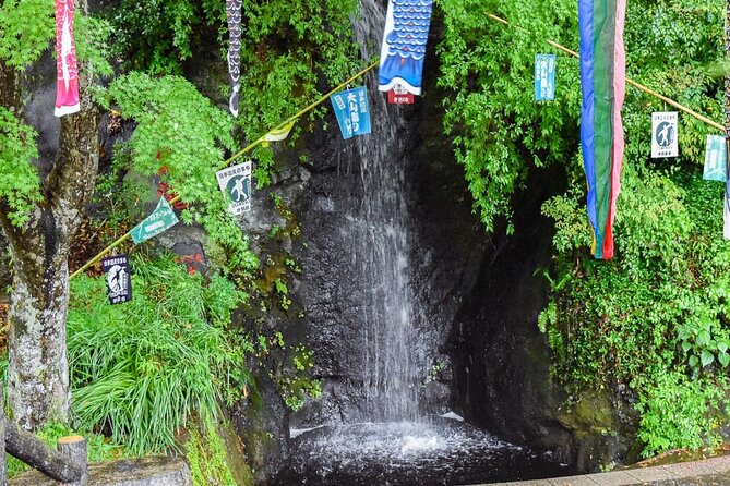 Private Afuri Shrine Pilgrimage Overnight Stay in Kanagawa - Tour Information