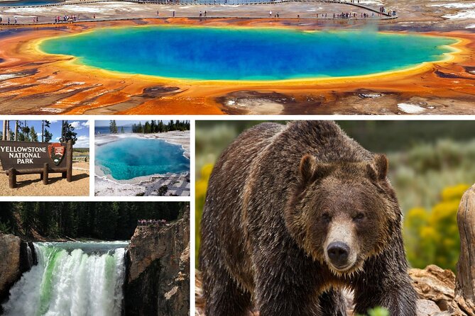 Private All-Day Tour of Yellowstone National Park - Positive Feedback on Tour Guides