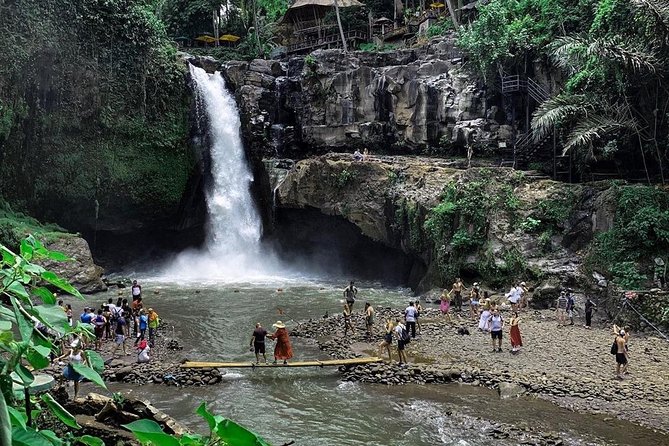 Private Bali Tour: Wonderful Ubud With Swing - Cultural Exploration