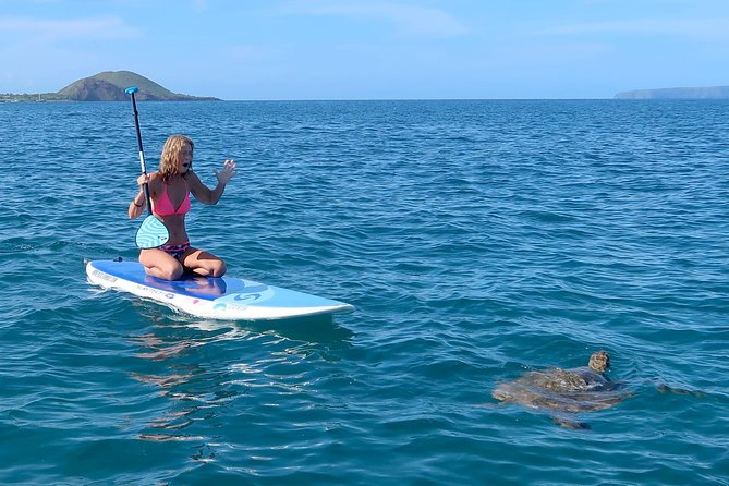 Private Beginner Paddleboard Lesson With Snorkel in Turtle Town! - Additional Information
