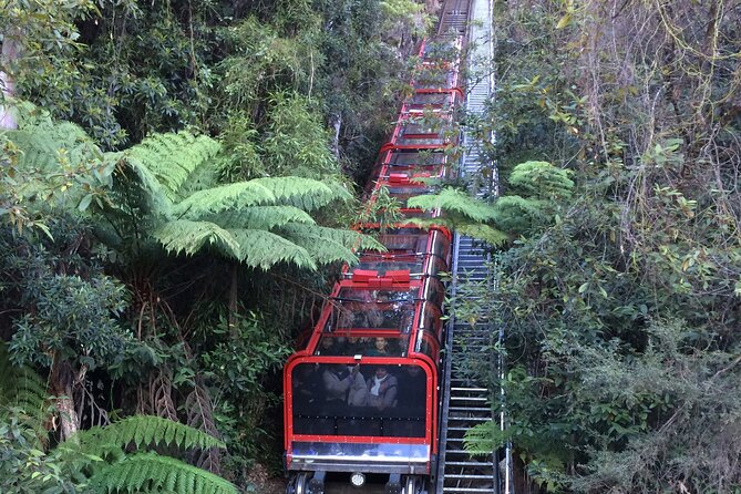 PRIVATE Blue Mountains Day Tour From Sydney With Wildlife Park and River Cruise - Aboriginal Cultural Experience