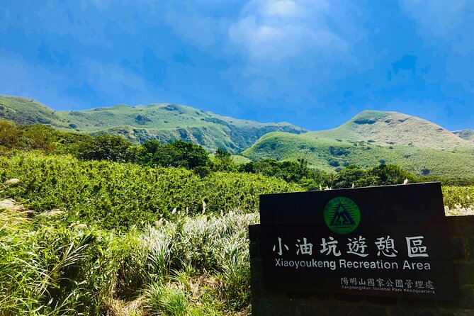 Private Car Charter in Yangmingshan Park(Pro Guide Driver) - Pro Guide Driver Expertise