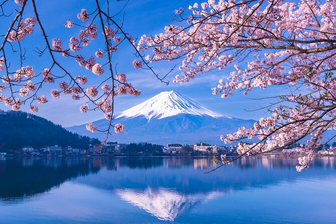 Private Car/Van Charter Full Day Tour MT Fuji And Hakone, (Guide) - Traveler Reviews