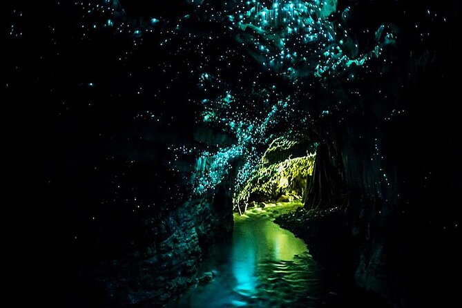 Private Day Trip Transport To Waitomo Glow Warm Cave - Waitomo Glow Worm Cave Exploration