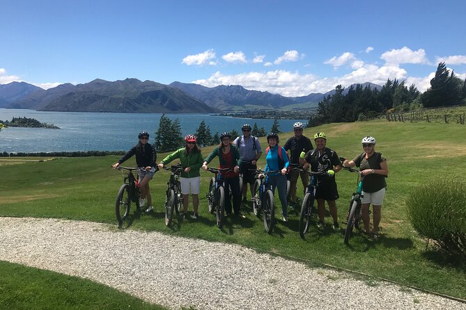 Private E-Bike Wine Tour in Wanaka - Accessibility Information