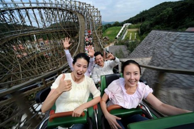 Private Everland Theme Park Tour - Additional Seoul Locations Option