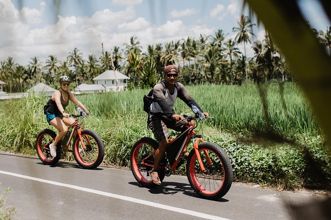 Private Fat Tire E-Bike Tour in Ubud - Customer Reviews