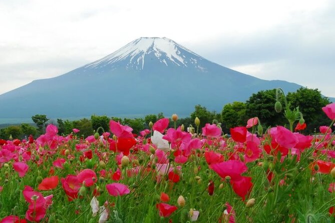 Private Full-Day Guided Tour in Mount Fuji Lakes - Meeting and Pickup Details