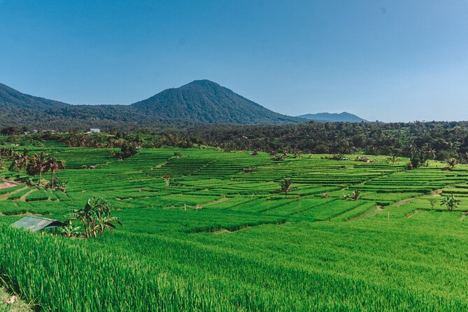 Private Full-Day Handara, Ulun Danu, Jatiluwih and Tanah Lot Tour - Traveler Resources