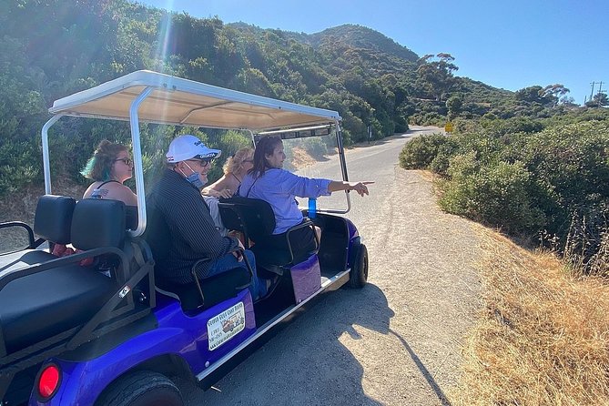 Private Guided Golf Cart Tour of Avalon - Additional Tour Information