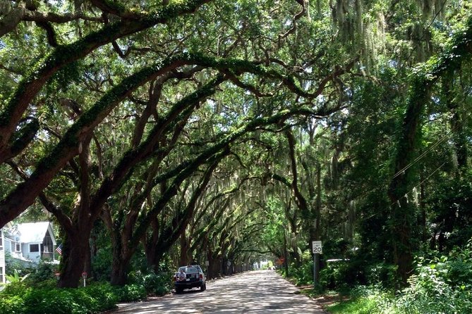 Private Guided Historic Electric Cart Tour of St. Augustine - Traveler Experience Highlights