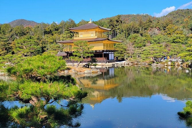 Private Guided Historical Sightseeing Tour in Kyoto - Tour Reviews