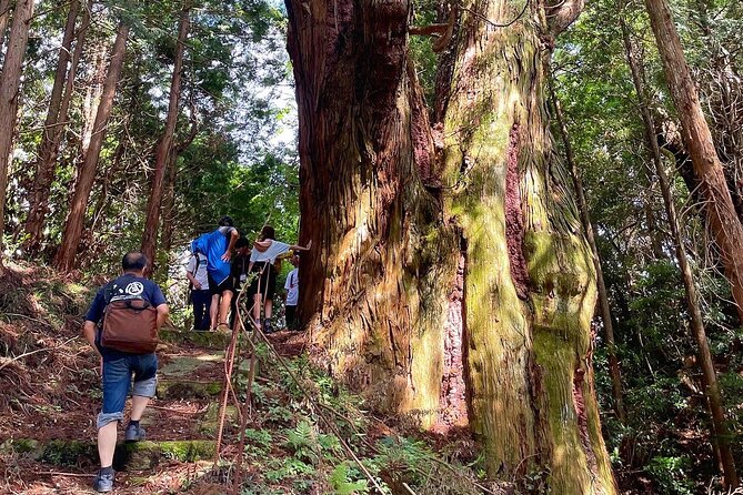 Private Guided Rural E Bike Mini Tour in Aso Minamioguni - Common questions