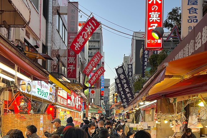 Private Half-Day Tour Colorful and Busy Street in Central Tokyo - Must-Try Street Foods