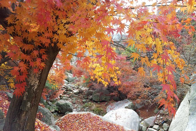 Private Hiking to Bukhansan & Korean Style Spa(Include Lunch) - Tour Highlights and Inclusions